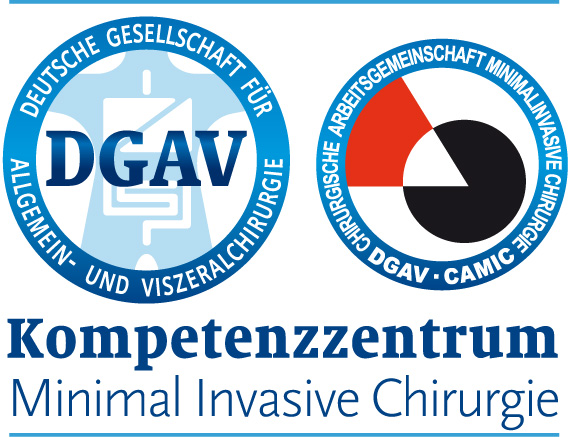 Logo MIC Zertifikat DGAV